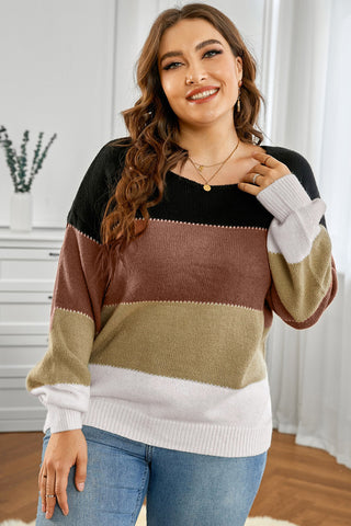 Curve Collective's Color Block Round Neck Sweater